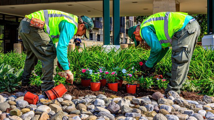 Landscaping Services
